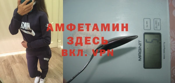 крисы Корсаков