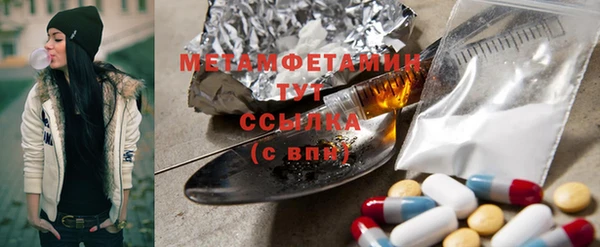 крисы Корсаков