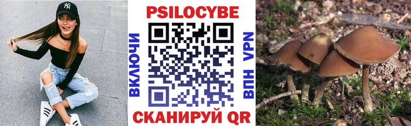 Галлюциногенные грибы ЛСД  Купить  Алексеевка 